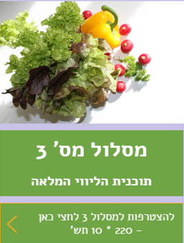 הצטרפי לתוכנית הליווי המלאה מסלול 3