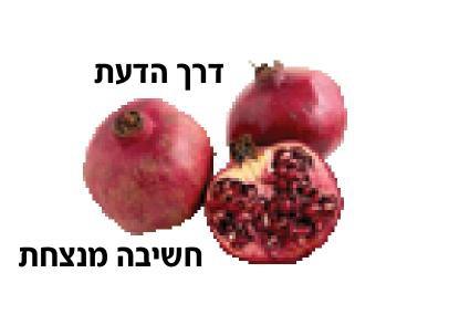 חשיבה מנצחת