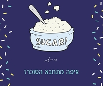 פרק שני - קורס גמילה ממתוקים