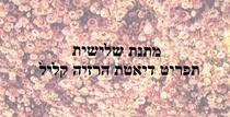 מתנה שלישית