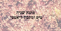 מתנה שניה