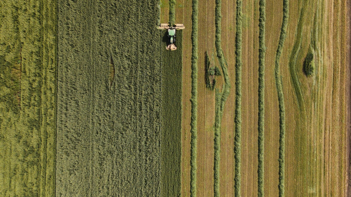 צילום: יהודה וינברג