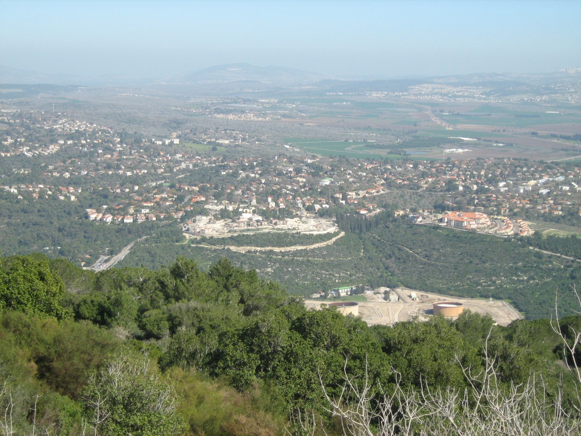 טבעון - תמונה מרכס הכרמל
