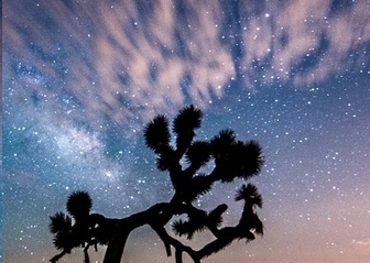 הקלק לצפייה