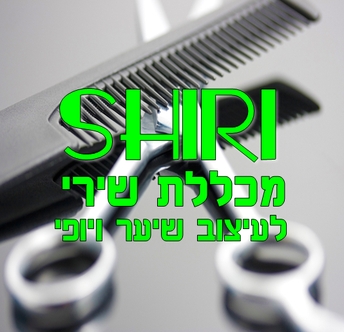 מכללת שירי