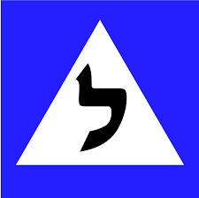 מורה נהיגה בקריות - עמית לוין