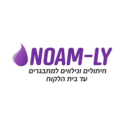 נועם לי חיתולים לכל הגילאים