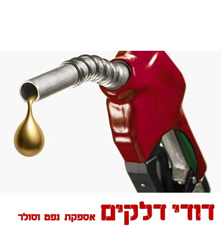 דודי דלקים