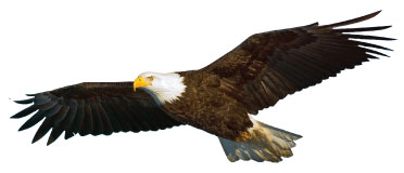 לקריאת הפוסט הקודם לחצו כאן