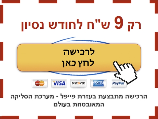 כפתור פייפאל