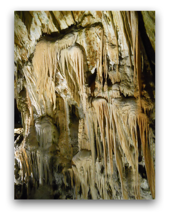 To enlarge image