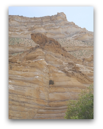 To enlarge image