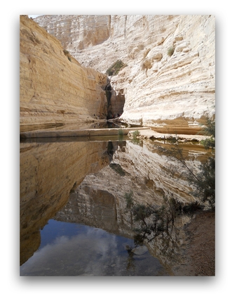To enlarge image