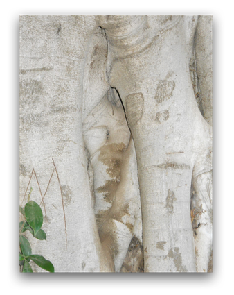 To enlarge image