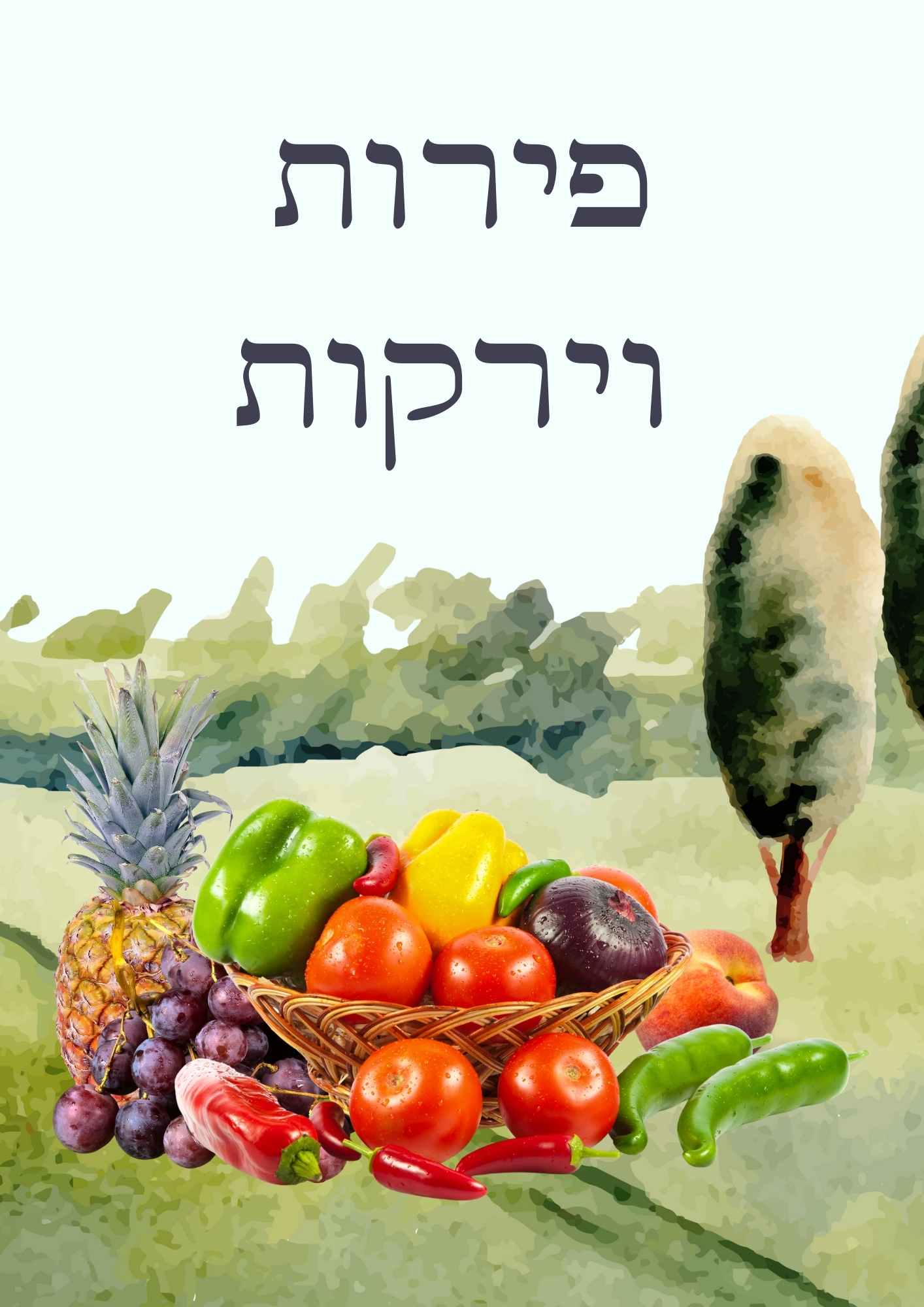 המוצרים שלנו