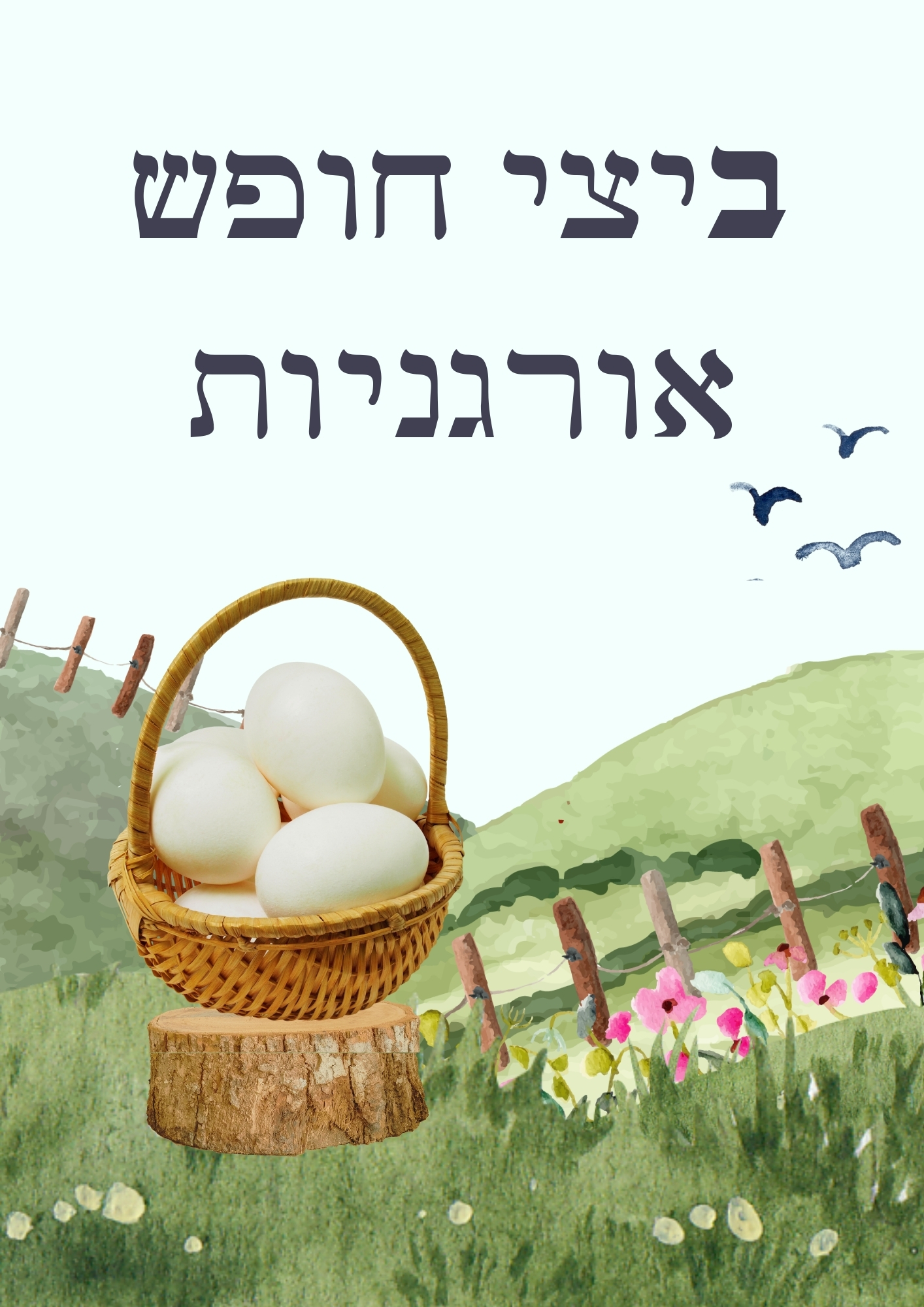 המוצרים שלנו