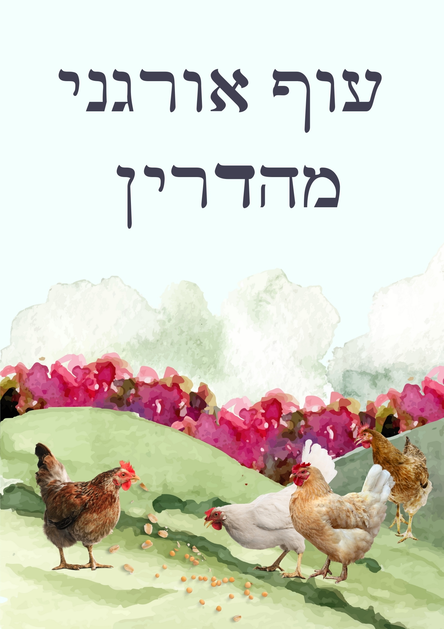המוצרים שלנו