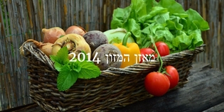 מאזן המזון
