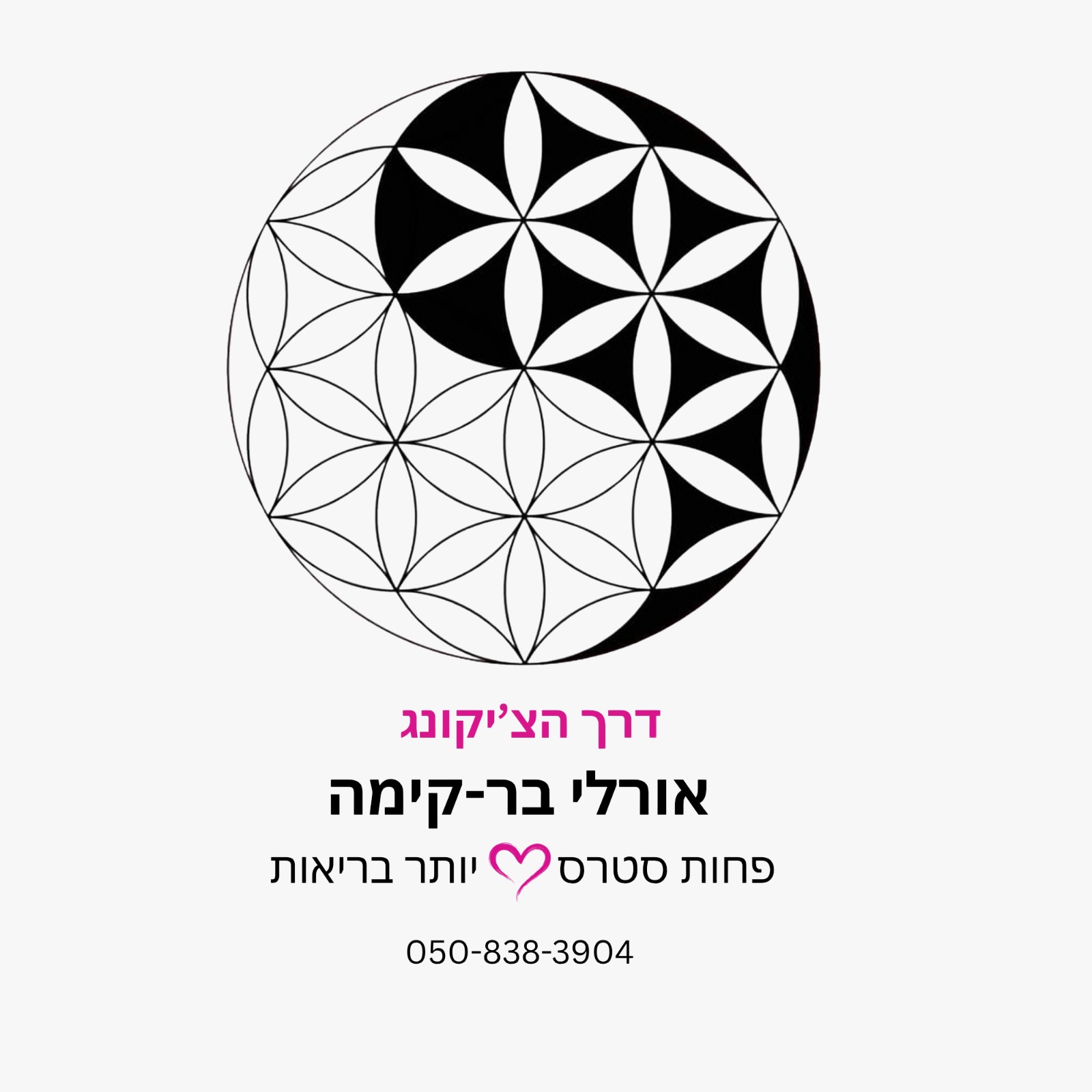 אני, אהבה בתנועה — סיני, נובמבר 2026 — תמונה 1