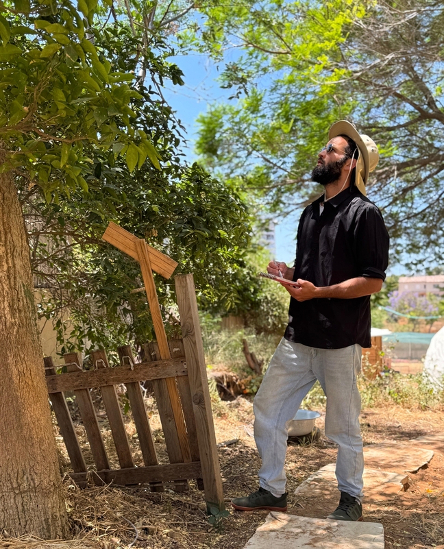 אלון בביצוע סקר עצים בשטח