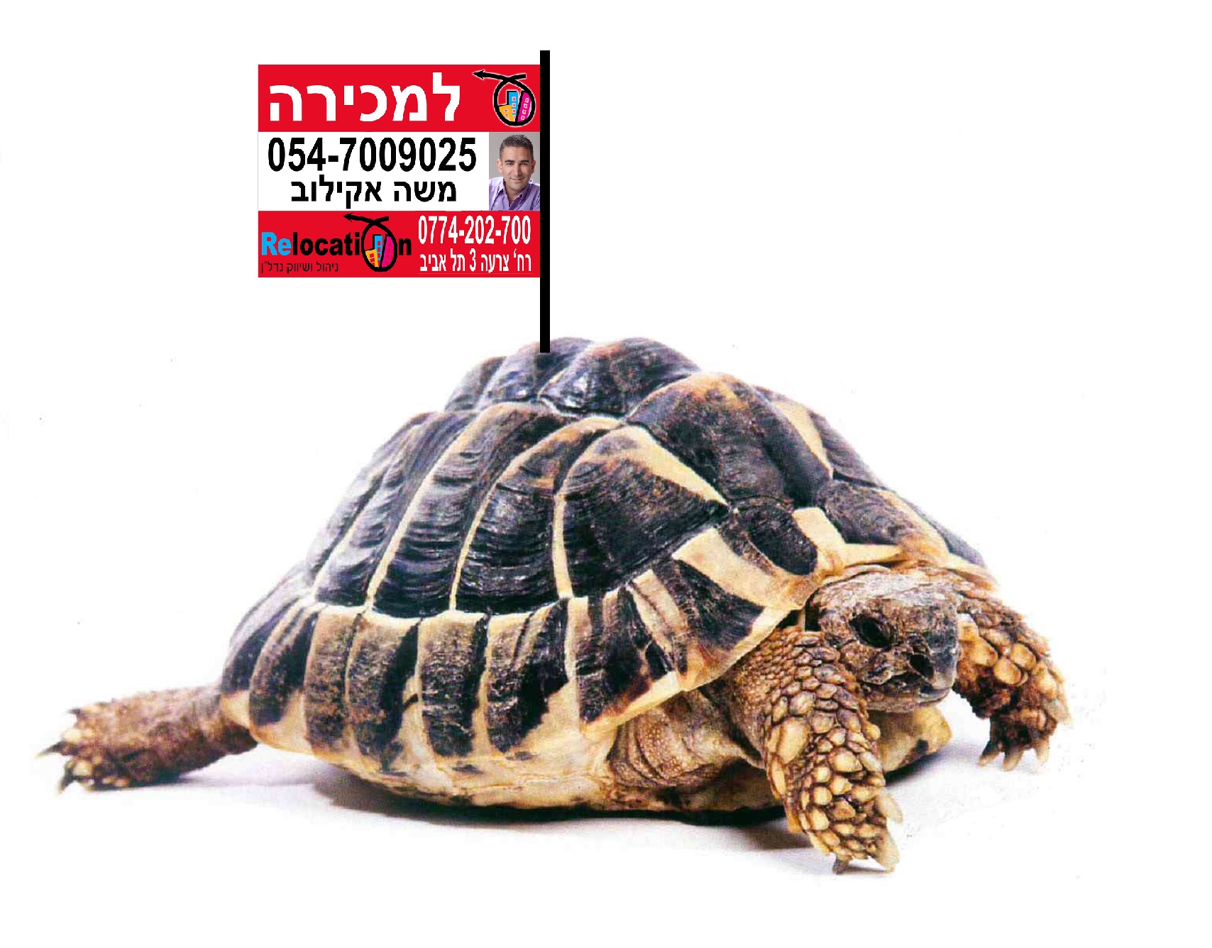 אנחנו ברילוקיישן נשמח לשווק גם את הנכס שלכם!