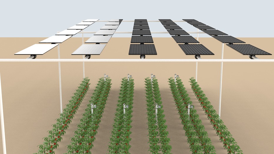 הדמיה: חברת דוראל