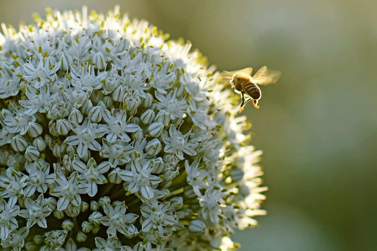 צילום: יהודה וינברג
