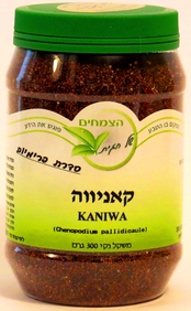 קאניווה