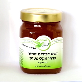 דבש פרחי אקליפטוס