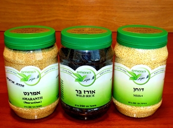 שלושת המופלאים במבצע