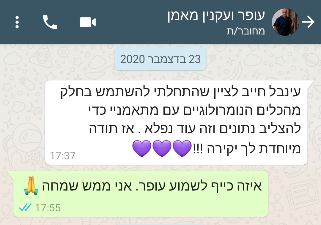 המלצה 3