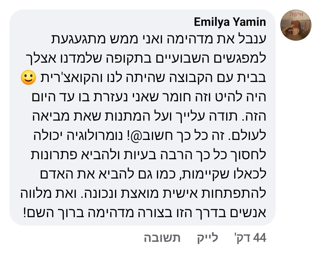 המלצה 1