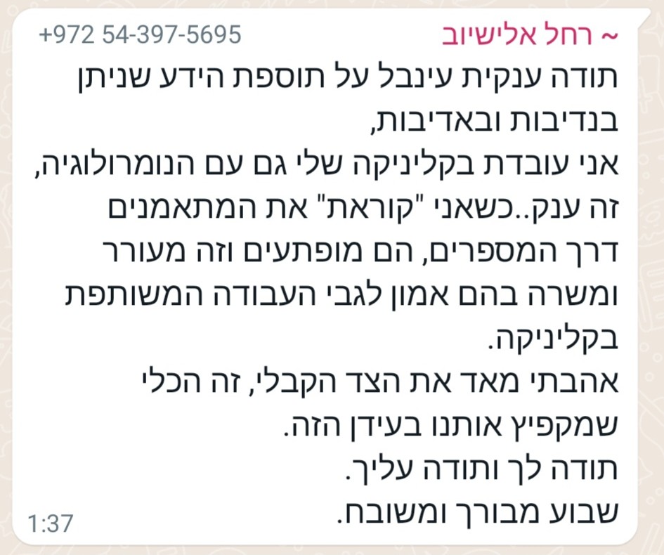 המלצה 2