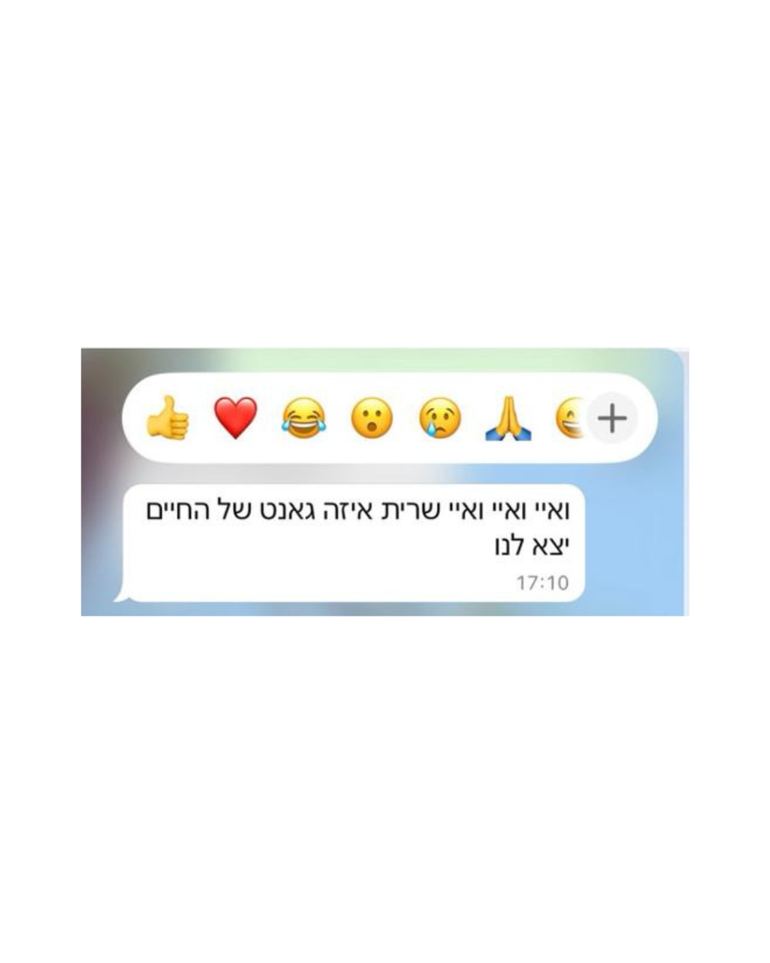 פידבק 5