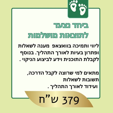 נקוי כבד סיני כולל תמיכה 